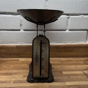 Vintage Black and Silver Scale